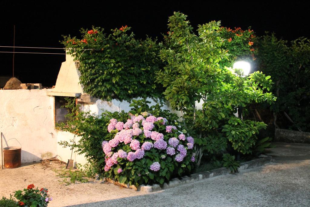 La Casa Del Nonno Bed and Breakfast Alberobello Eksteriør billede